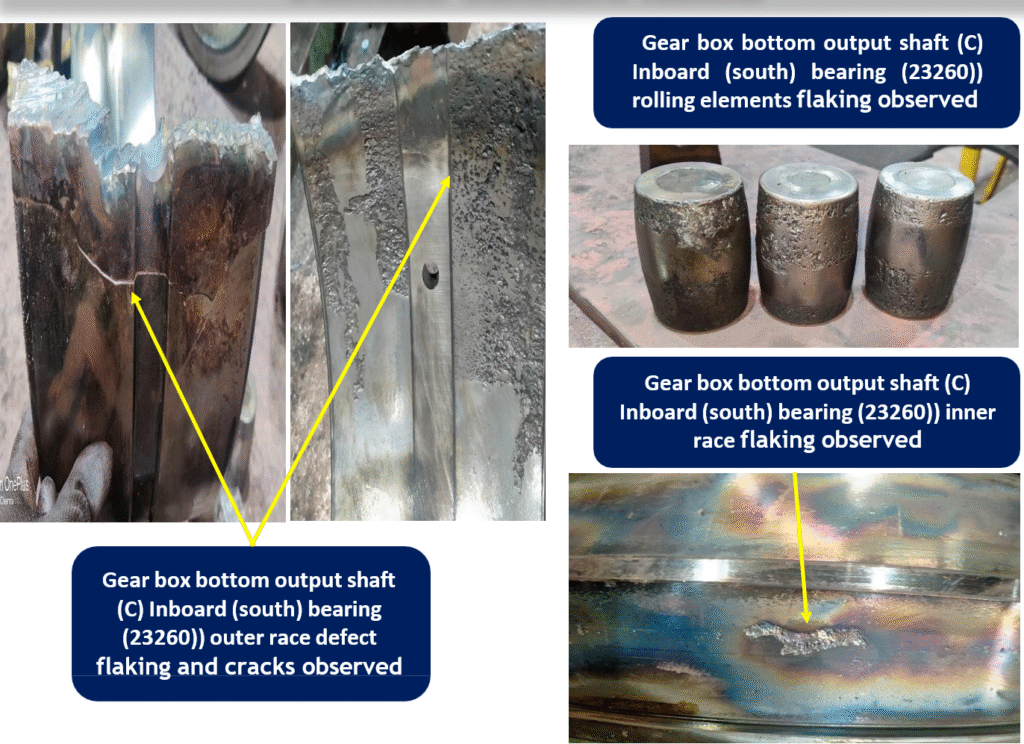 Condition Monitoring & Asset Management